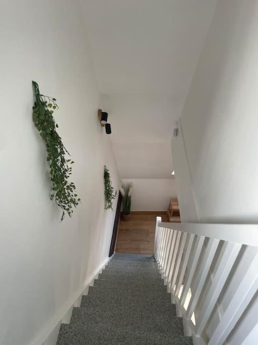 Duplex Bord De L'Eure - Parking Inclus - Jolie Vue Sur La Cathedrale Apartment Chartres Exterior foto